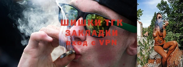 apvp Иннополис