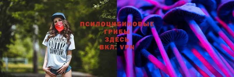 Псилоцибиновые грибы MAGIC MUSHROOMS  kraken   Короча  даркнет сайт 