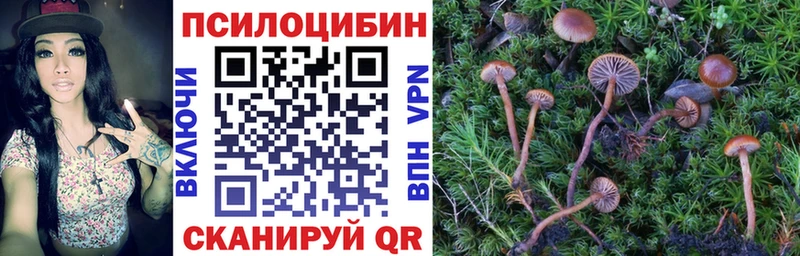 дарнет шоп Короча Псилоцибиновые грибы прущие грибы